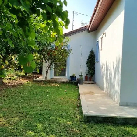 Nar Datca