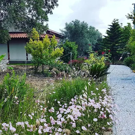 Nar Villa
