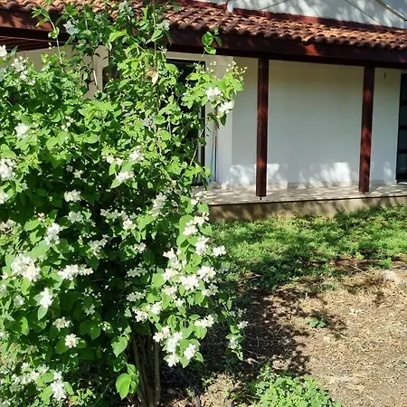 Nar * Datca