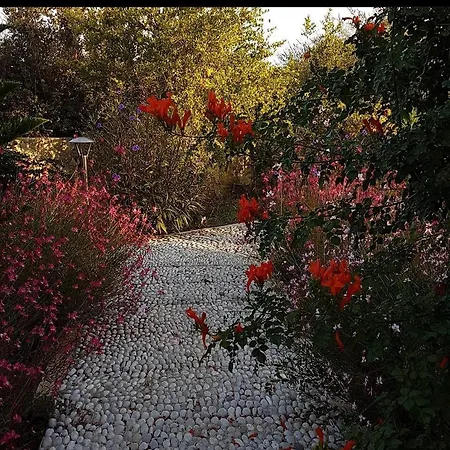 Villa Nar Datca